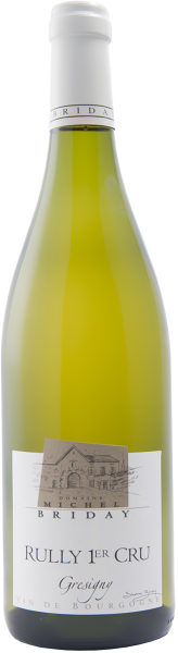 Domaine Michel Briday, White, 2022