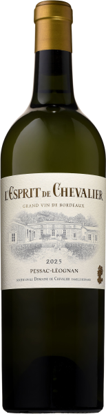 l'Esprit de Chevalier, Wit, 2025