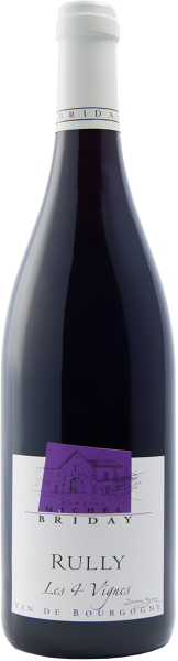 Domaine Michel Briday, Rood, 2023
