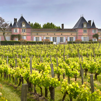 Screenshot 2022-04-21 at 13.41.09