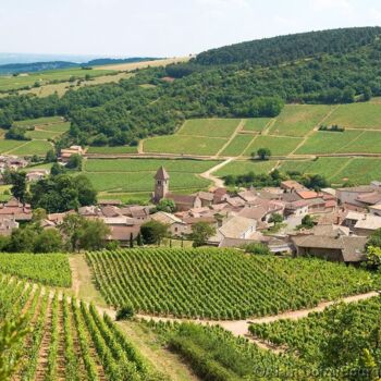 nb bourgogne