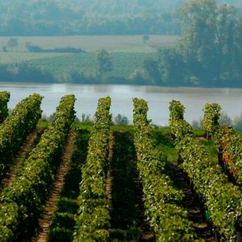 fronsac