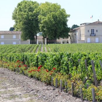 Marquis du Terme